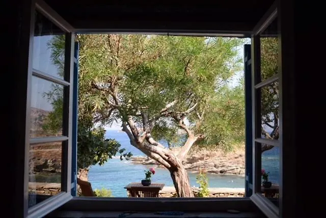 Aphrodite * Κούνδουρος