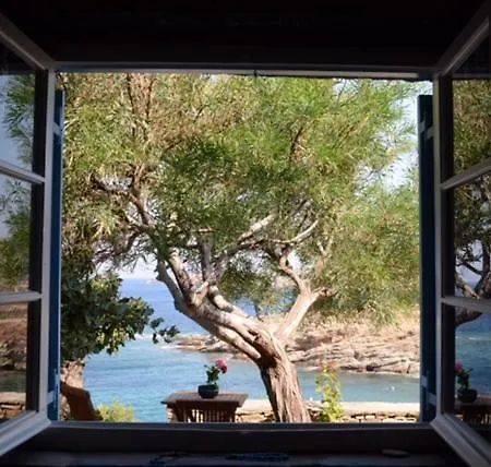 Aphrodite * Koundouros